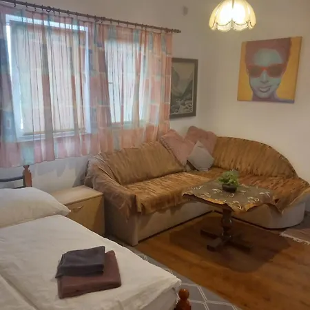 Vysehrad Nonstop Guest house 3*
