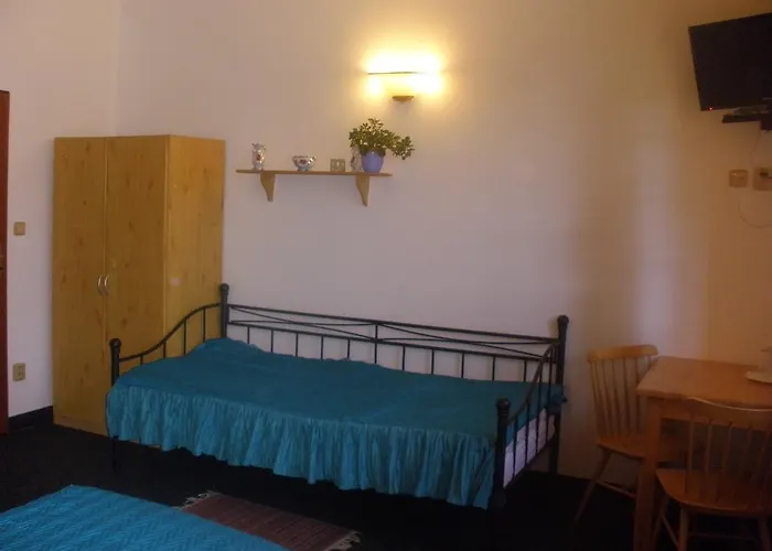 Vysehrad Nonstop ゲストハウス チェスキー クルムロフ